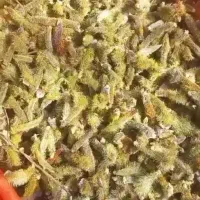 عرق بیدمشک سنتی