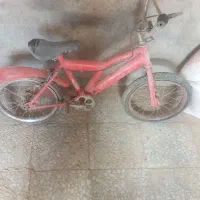 تنه دوچرخه با رینگهاش هرکسی خواست درخدمتیم