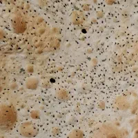 نان خانگی با عطر طعم خوب