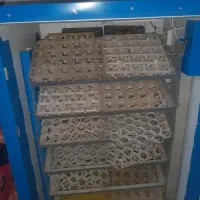 دو عدد دستگاه جوجه کشی تمام اوتوماتیک