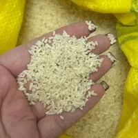 لاشه هاشمی گیلان|خوردنی و آشامیدنی|محمدیه-قزوین, |دیوار