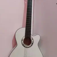 گیتار دیاموند نو به همراه کاور