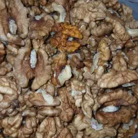 مغز گردو