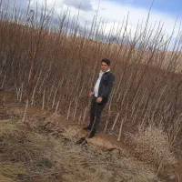 نهال فروشی تک نهال|گل و گیاه طبیعی|زنجان, |دیوار