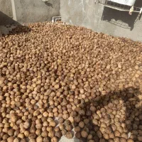 فروش گردد کاغذی