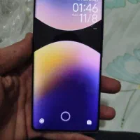 کوشی شیامی نوت 14