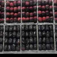 فروش خرما