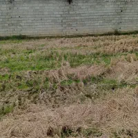 دو قطع زمین