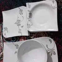 ظروف بشقاب