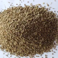 بذر سبزی جات گواهی شده درجه 1