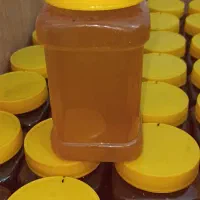 عسل صد در صد طبیعی (گشنیز و آویشن)