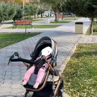 کالسکه روروئک کریر