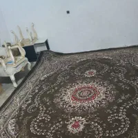 فرش کاملا سالم|فرش|ایلام, |دیوار