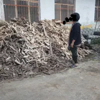 فروش خورده چوب پوشال و خاک اره