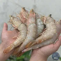 انواع میگوهای دریایی صید روز با بهترین کیفیت|خوردنی و آشامیدنی|تهران, جماران (نیاوران)|دیوار