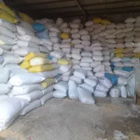 گندم. جو. قریخ. عدس. گاودانه