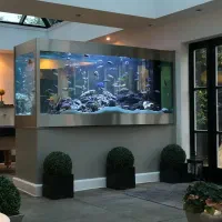 نظافت ساختمان وویلا|خدمات نظافت|خمینیشهر, |دیوار