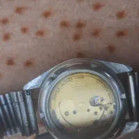 ساعت اصلی سیتیزن|ساعت|میانه, |دیوار