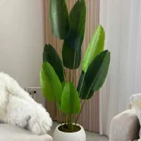 تولیدی لی دار ،تولیدکننده انواع درختچه های مصنوعی