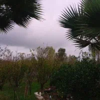 یک قطعه دویست پنجاه متری