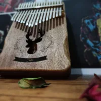 کالیمبا سگا پیکاپخور|سازهای سنتی|رشت, دباغیان|دیوار