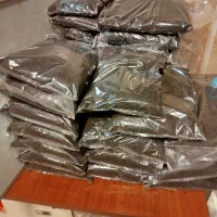 چای ممتاز و قلم صد در صد مرغوب شمال