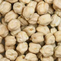 نخود بزری   منصور