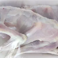 مرغ و خروس محلی|حیوانات مزرعه|شیراز, عادل آباد|دیوار