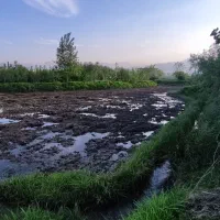 1500-متر-زمین-کاربری-باغات-مشاور-رضا-حسینی