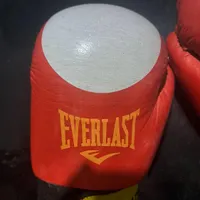 دستکش بوکس everlast|تجهیزات ورزشی|بیرجند, |دیوار