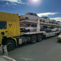 تلیری نیه پیکان اوراقی اسینم