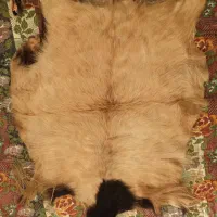 فروش پوست طبیعی طبی و زینتی|آرایشی، بهداشتی، درمانی|مراغه, |دیوار