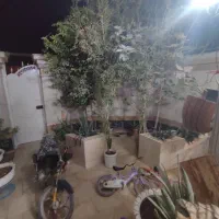 اجاره خانه ویلایی|اجارهٔ خانه و ویلا|سراوان, |دیوار