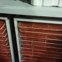 دستگاه میوه خشک کن بزرگ|سایر لوازم برقی|مراغه, |دیوار