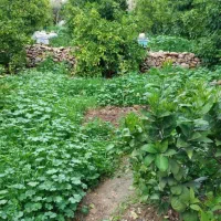 فروش ومعاوضه زمین و ملک