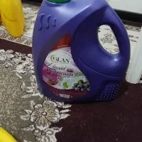 شوینده قیمت ارزان