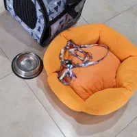 وسایل مورد استفاده گربه