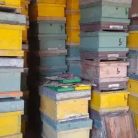 کندو و طبق دسته دوم