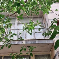 منزل شخصی|فروش خانه و ویلا|تهران, امامزاده حسن(ع)|دیوار