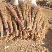 جاروی بلند|لوازم نظافت|یاسوج, |دیوار