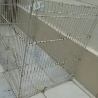 قفس|لوازم جانبی حیوانات|بیرجند, |دیوار