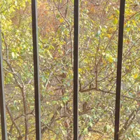 اجاره آپارتمان ۱۳۵ متری ۳ خوابه در مهرشهر ورودی|اجارهٔ آپارتمان|کرج, مهرشهر - فاز ۱|دیوار