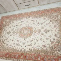 فرش ۶متری و۹متری|فرش|کومله, |دیوار