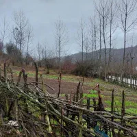 زمین مسکونی/۱۷۷مترمربع/ویو جنگل های خانه های آسیاب