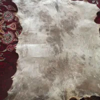 پوست نوشته حیوان