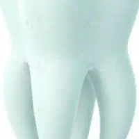 لطفا راهنمایی کنید