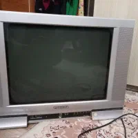تلویزیون