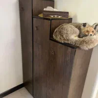 فروش جاکفشی