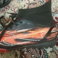 کفش ورزشی|کیف، کفش، کمربند|گنبد کاووس, |دیوار