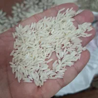 برنج هاشمی درجه یک ممتاز سورتینگ زده|خوردنی و آشامیدنی|آستانه اشرفیه, |دیوار